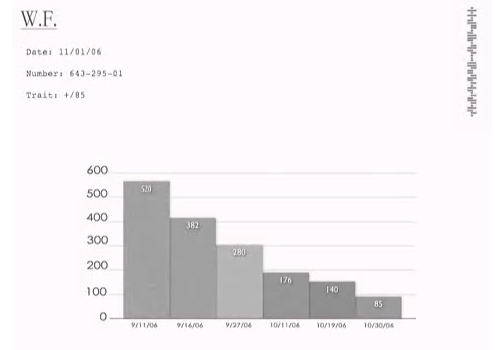 File:Wyman-Foundation Graph.jpg