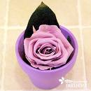 File:Cupcakegrape.jpg