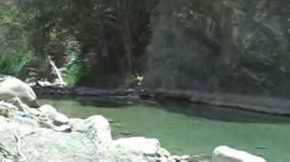 File:0263-JonasAtTheSwimmingHole.jpg