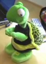 File:Dancing Turtle.jpg