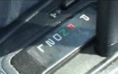 File:DforDaniel.gif