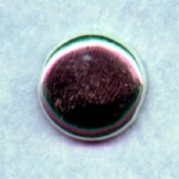File:PicX.jpg