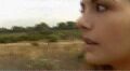 The landscape