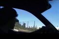 Out the window
